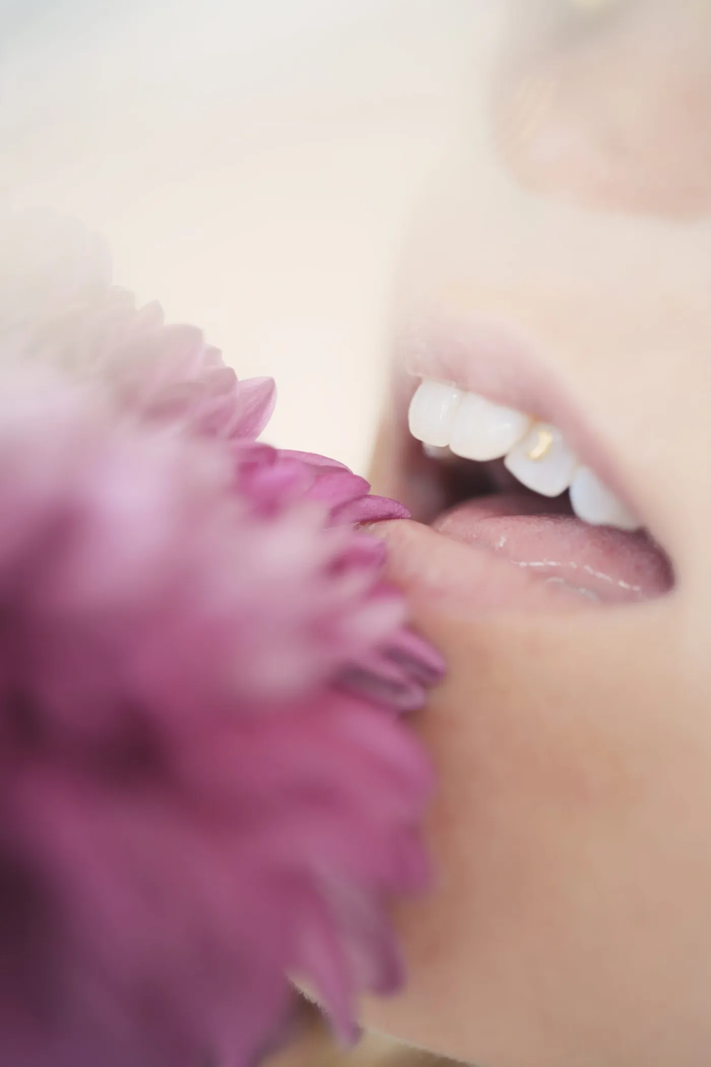 Close-up of a mouth and a flower touching
